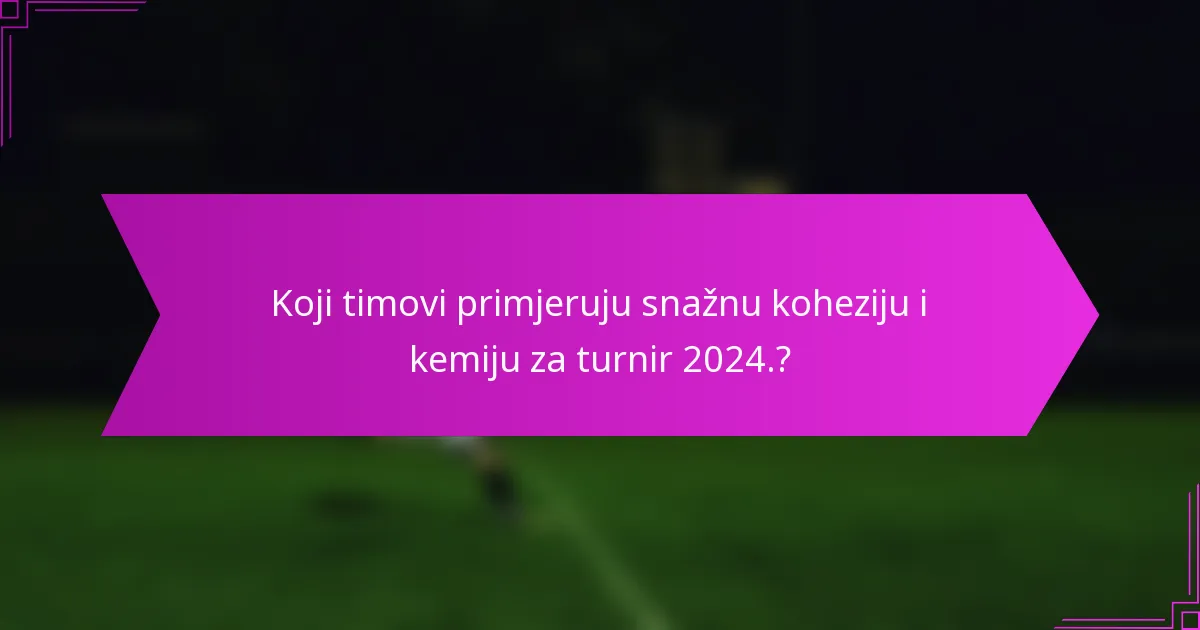 Koji timovi primjeruju snažnu koheziju i kemiju za turnir 2024.?